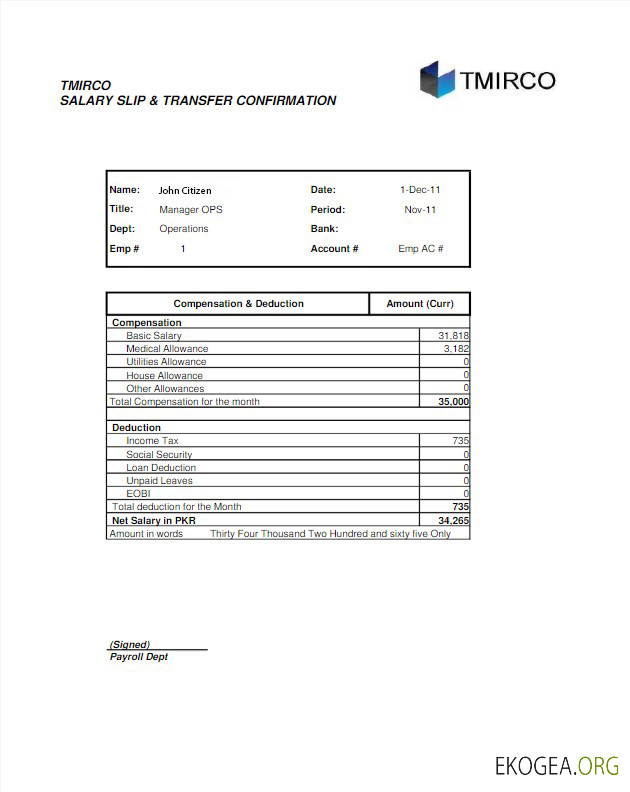 Déclaration de revenus de la société PAKISTAN TMIRCO aux formats Word et PDF